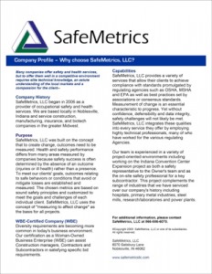 SafeMetrics - SafeMetrics Company Profile Service Sheet